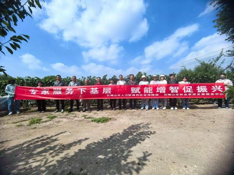 避开误区，解锁科技办公新体验